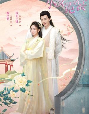 Download Drama China Ni Chang Subtitle Indonesia