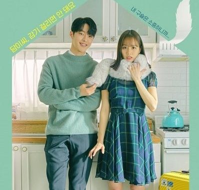 Download Drama Korea My Roommate Is Gumiho Subtitle Indonesia